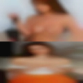 Local horny girls Sarasota