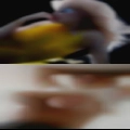 Girls wanna fuck Luverne