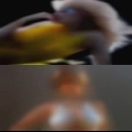 Girls area that wanna fuck
