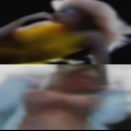 Naked horny sluts Northeast