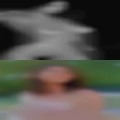 Naked girls near Dansville