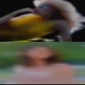 Naked horny girls