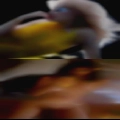 Girls Chicago masturbating