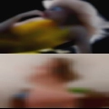 Where are all the horny girls