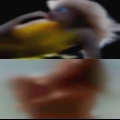 Types naked girls