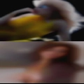 Girls fuck Mattoon