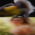 Get horny girls